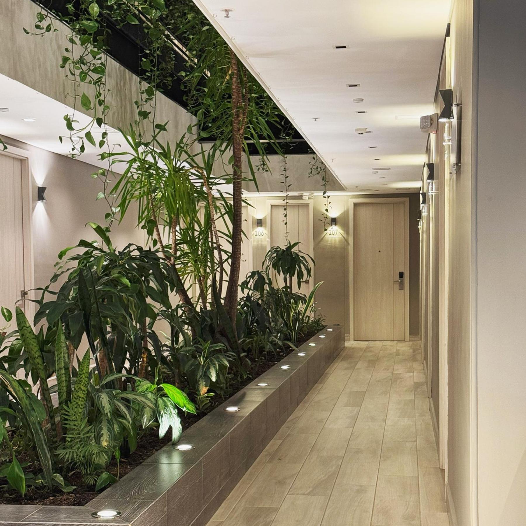 4 Sur Hotel Medellín Exteriör bild